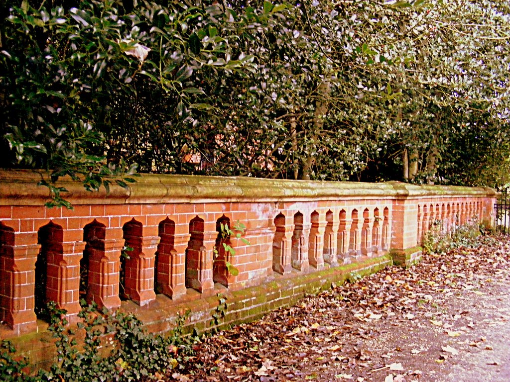DSCF0537.jpg