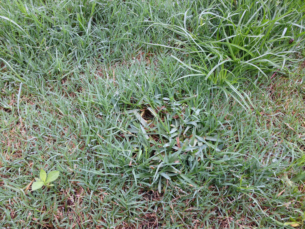 14489041545_e9f44d8b34_k