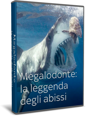 Megalodonte-La-leggenda-degli-abissi.png