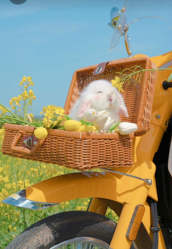 Screenshot_20230325_001521_Pinterest