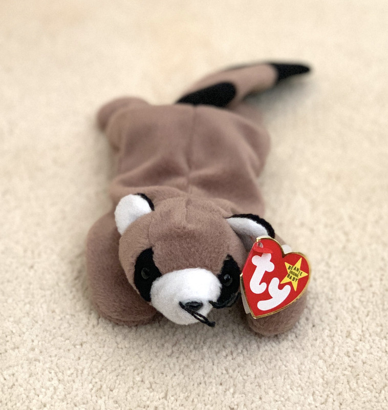 ringo the raccoon beanie baby