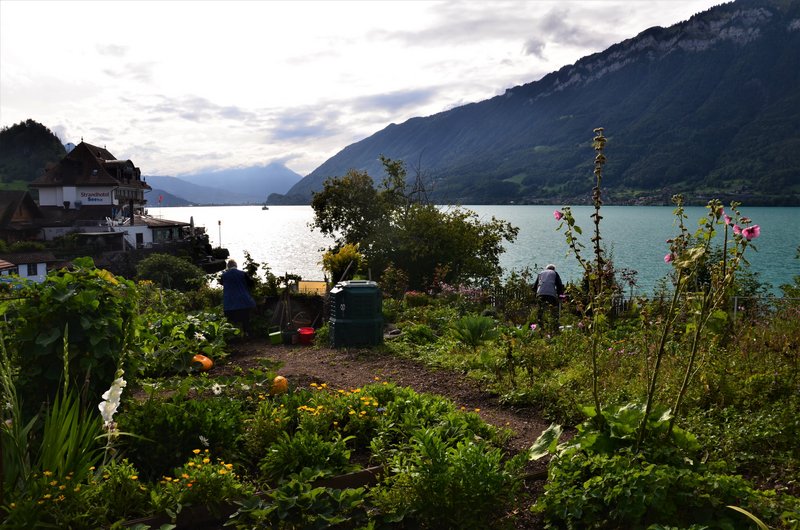 BRIENZ E ISELTWALD-9-9-2019 - Suiza y sus pueblos-2019 (60)