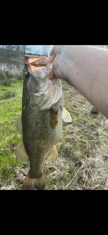 051E76A0-4A7B-4DA6-BD6B-ED0EE6716728