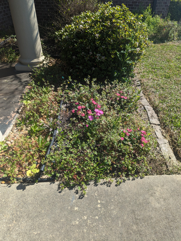 PXL_20230305_163701976