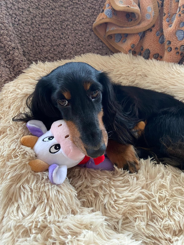 [Image: 7c4513b0-3140-4df3-a596-71ffc204f401.jpg]