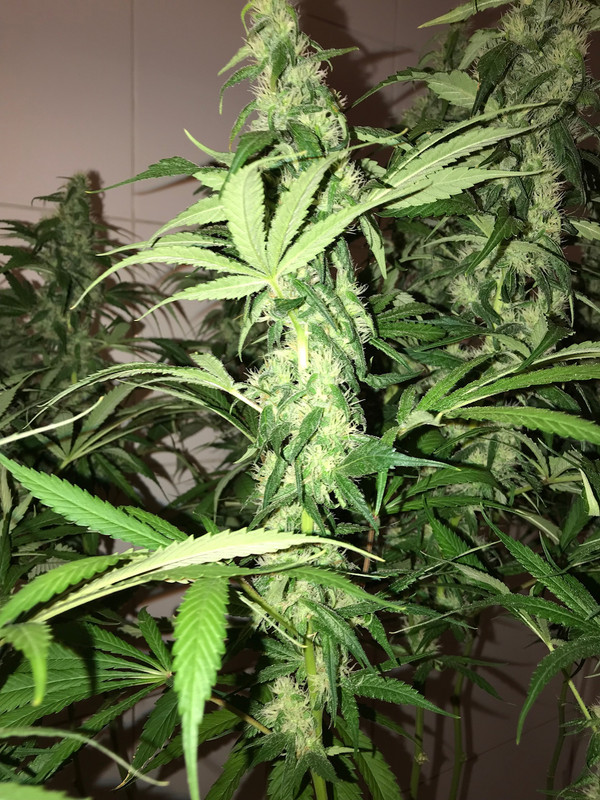 079F91F2-9291-409E-996D-20F10EFC4BCB