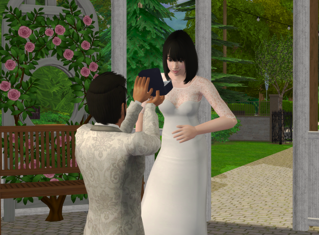 Sims2-EP9-RPC-2024-03-09-21-18-40-70