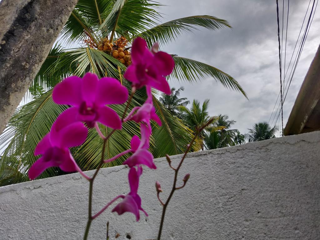 IMG-20181208-090055.jpg