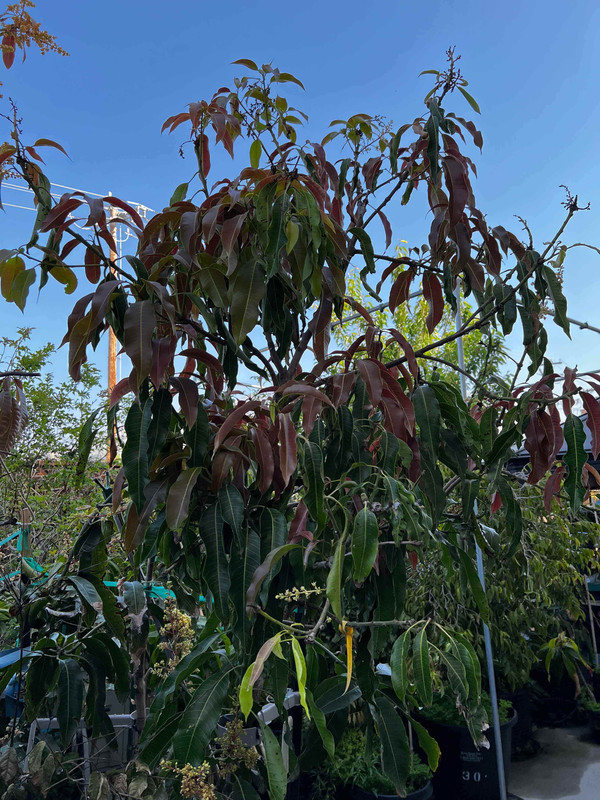 9699F23B-97EB-40C4-82D3-17681F0581D2remotea9573e0139a734f37f75ffbe4834d08b7a65be2b-1-original