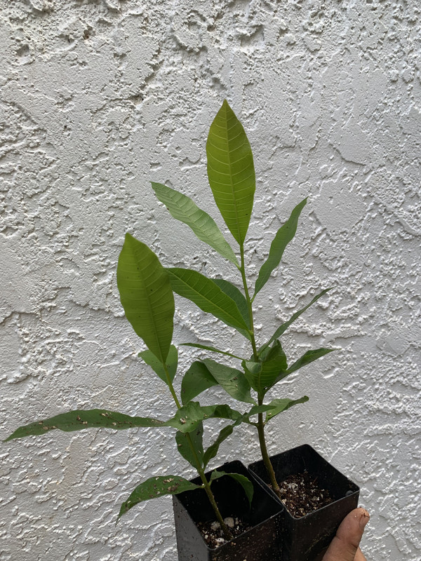 AA0BEDC2-1590-4046-B8D1-F57703257BE3