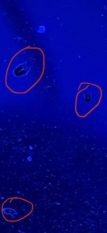 614B11D0-2CC1-49F4-AD34-7A5E75D33557