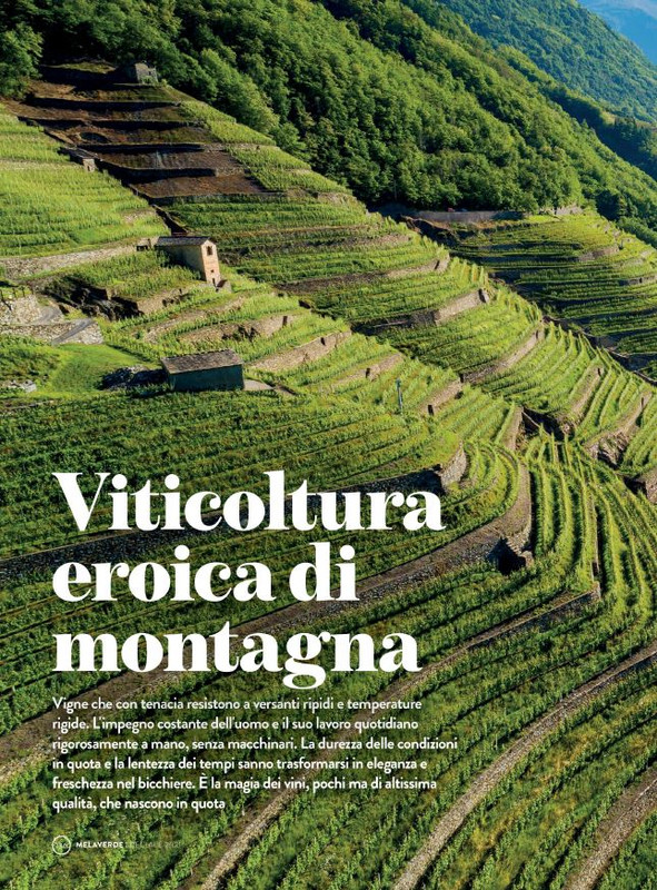 melaverde Dic 2021 (10)