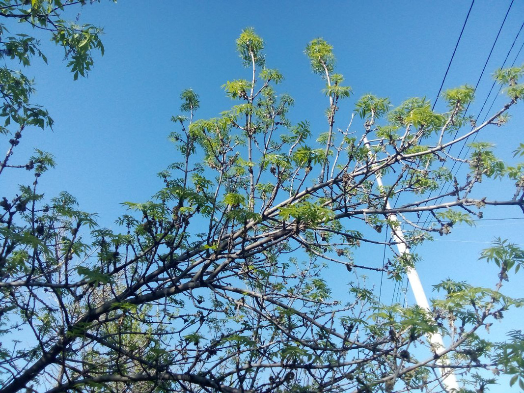 photo_2025-04-22 9.56.32 пп