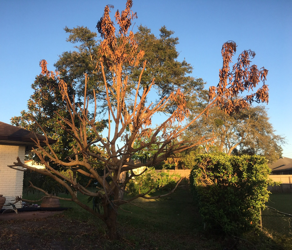 5583FE30-554C-41B8-ABA9-82EFAB473754