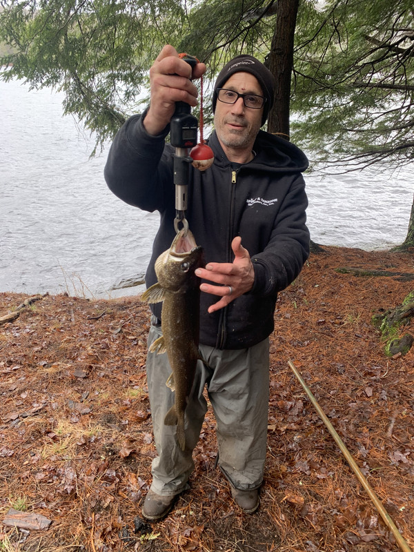 1FA8EB71-6BD5-4836-A538-4F8552B3411A