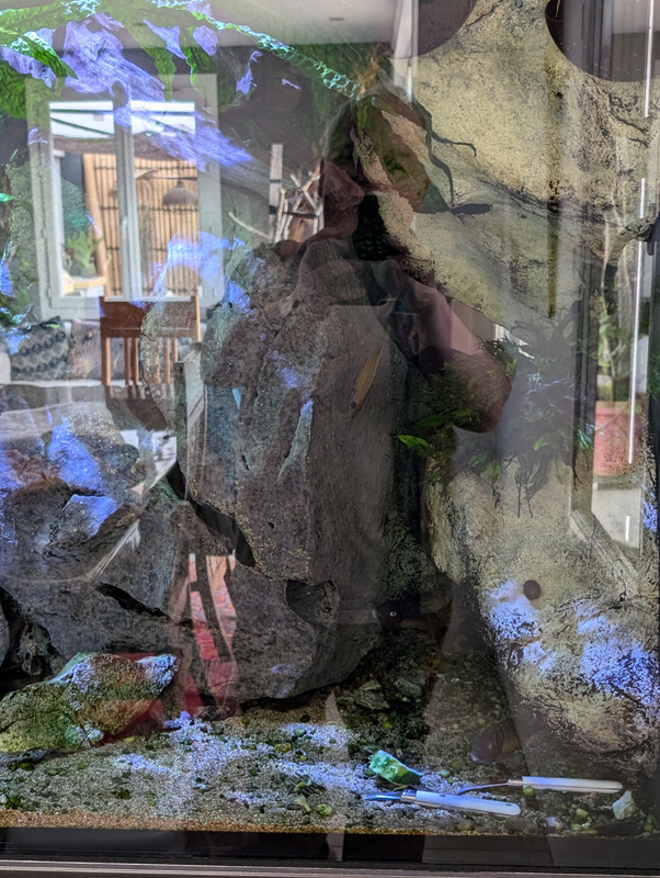 PXL_20250414_081853583