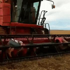 daily-gifdump-3339-28.gif