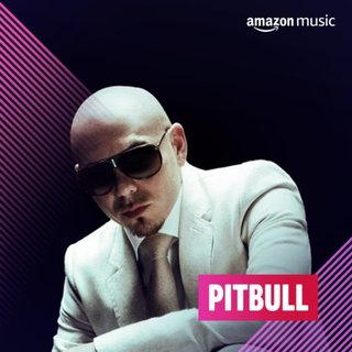 Pitbull - Discografia (2004-2022) .Flac