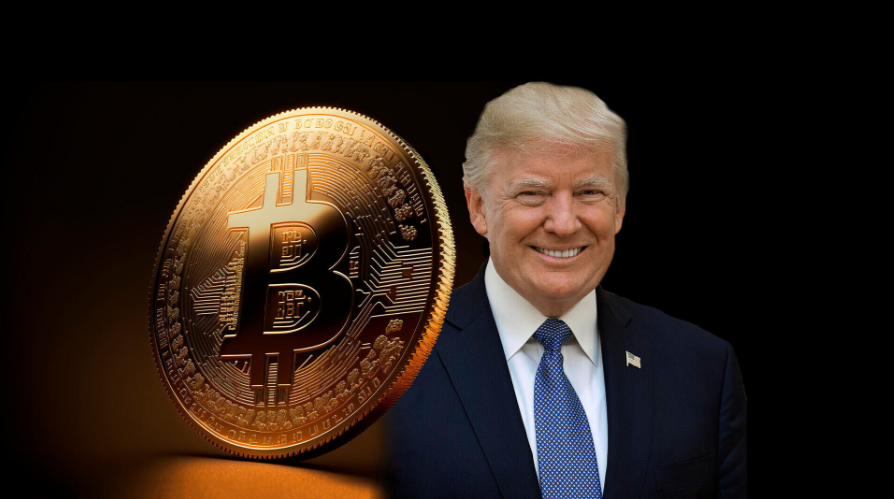 card image Энтони Помплиано: три совета Дональду Трампу. Новый президент Америки может помочь Биткойну