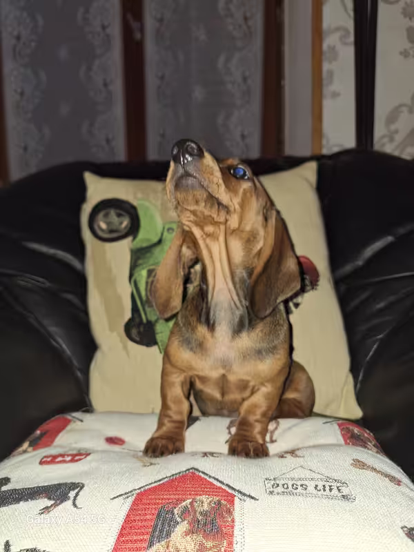 [Image: 20240930-174442.avif]