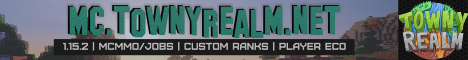 server banner