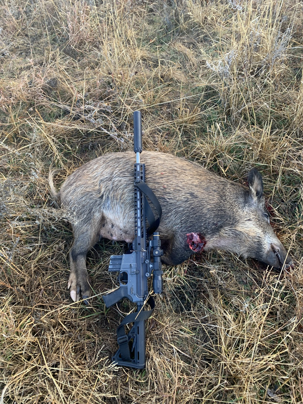 F1ADDC17-2B91-4307-9B5B-4223BFBDA24D