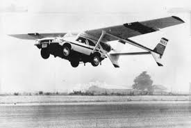 fly-pinto-1.jpg