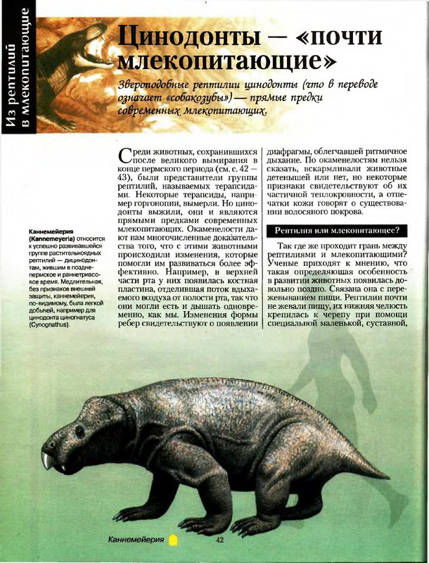 1697098430_pofoto-club-p-kannemeieriya-67