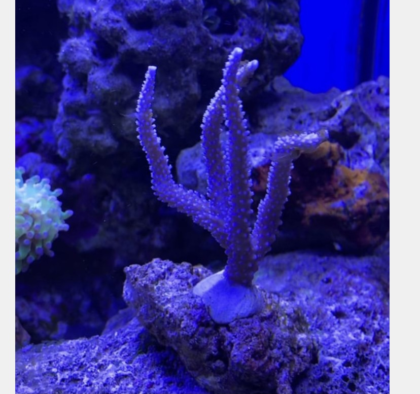 9E8D1A6A-36A6-4CB6-B464-05BA869D0F79