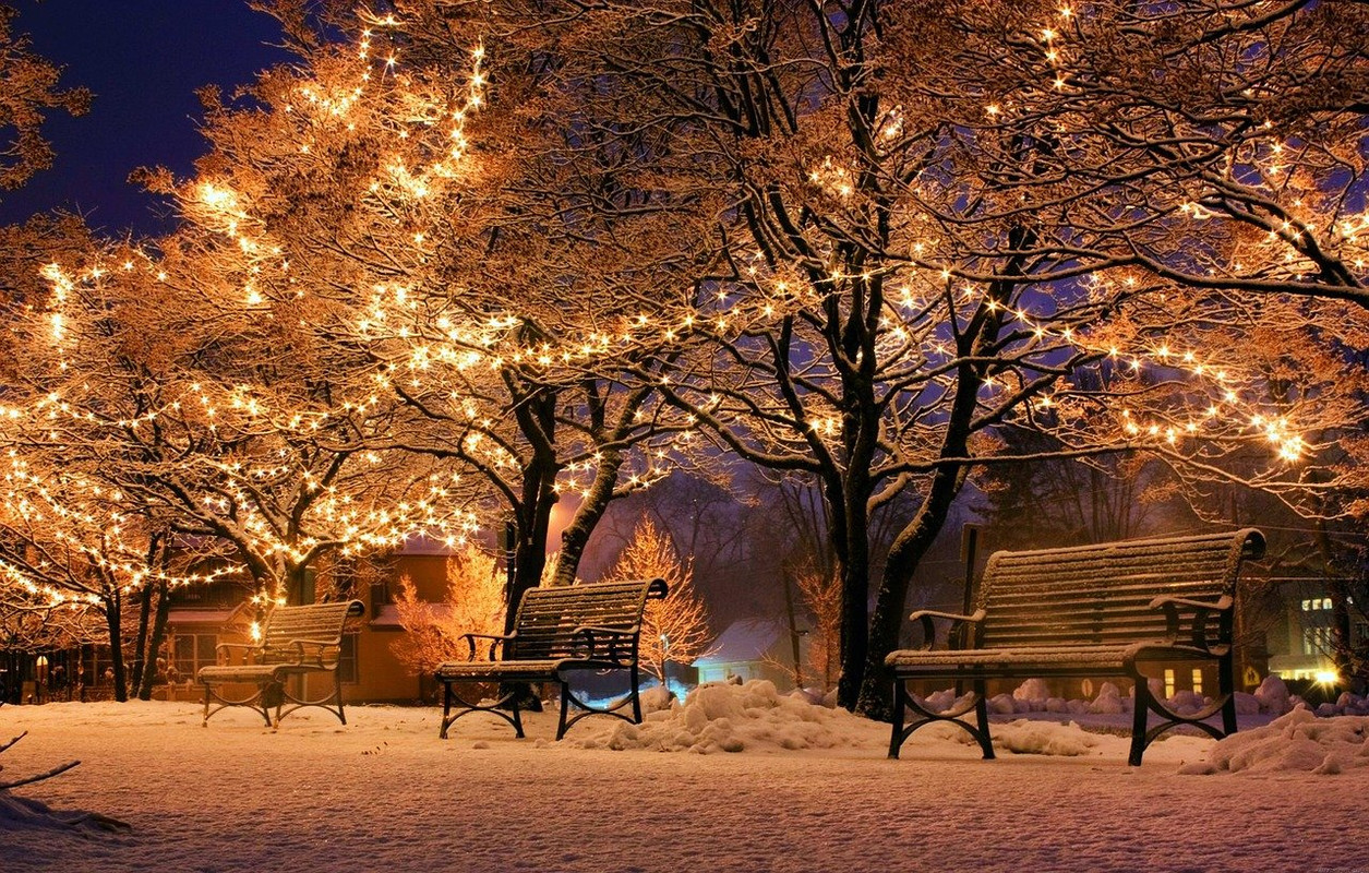 brown-christmas-lights-bank-2547356-1280.jpg