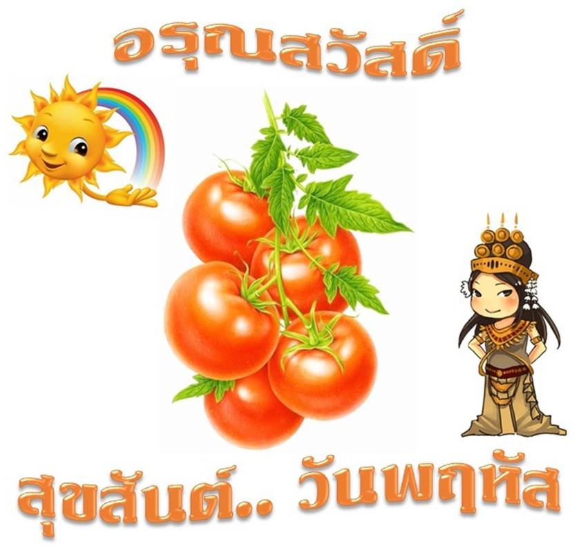 อรุณสวัสดิ์  วันพฤหัสฯ 9