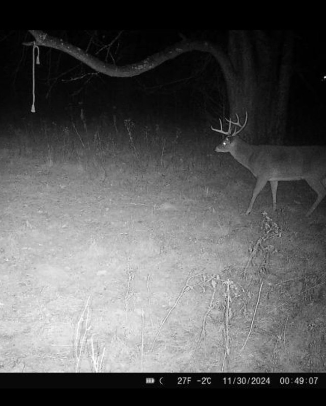 4207B788 D58C 4F24 ADF7 122D7224982F