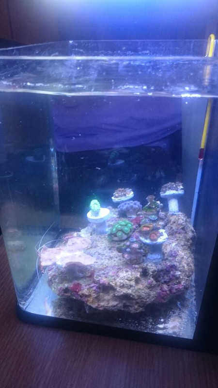 13ac7b21527f94627b02e0a21bc5cd7e (1)