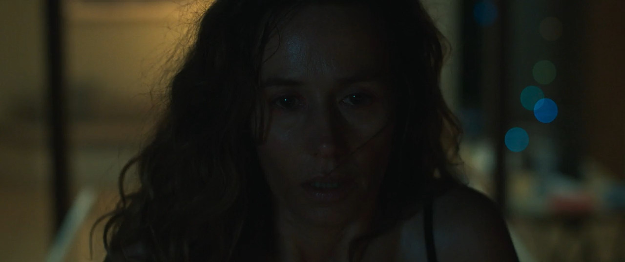 Dalloway 2025 WebRip [Hindi + French] 480p 720p ESub Screenshot