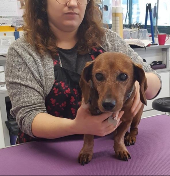 [Image: 20201216-072028.jpg]