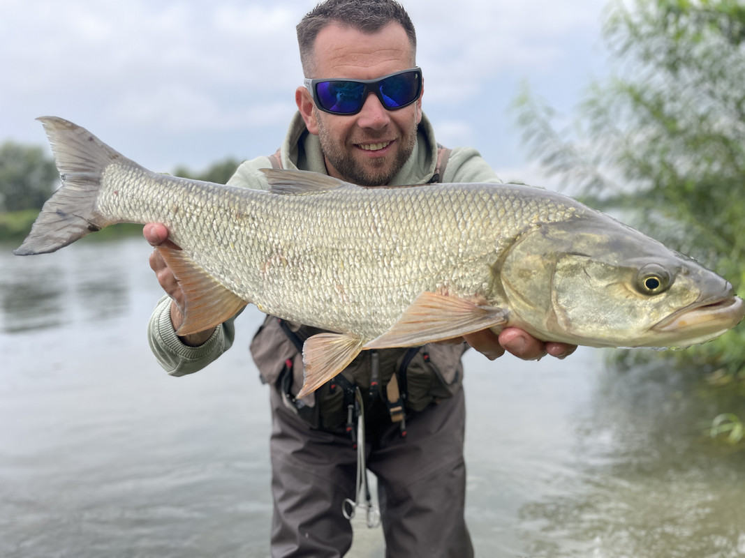 775C8A9E-E60E-4ED0-9A3D-26B6F7D0859C