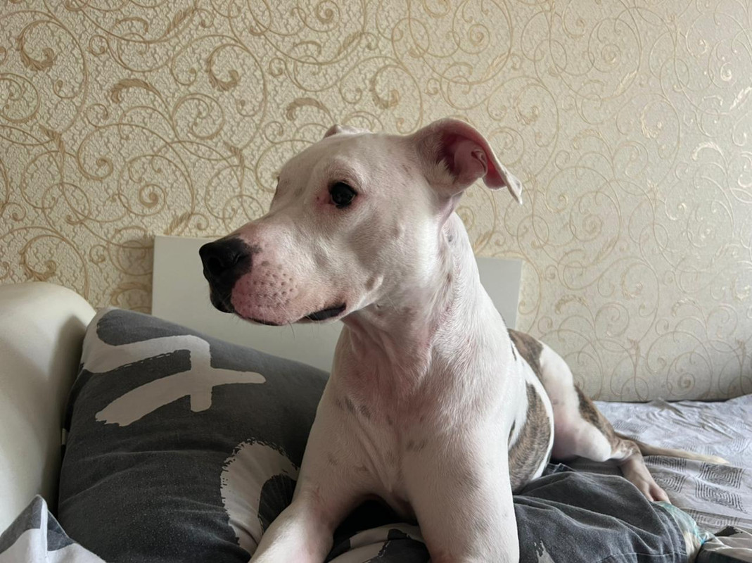 D94F1014-2C44-4169-9D98-6DC8BB470CFE