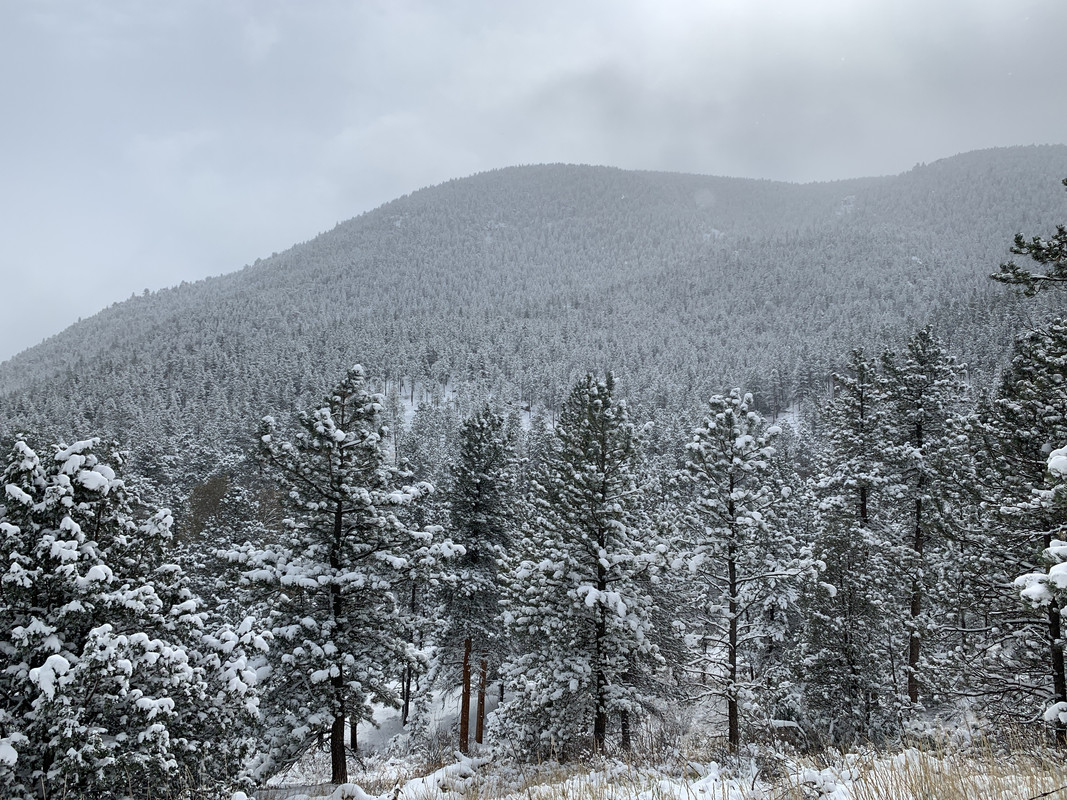 Eric Painter Sugar Land (22)