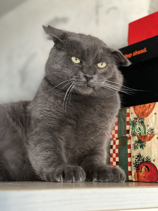 DB5D1C00-4535-4C03-AF41-EF6E02F3C568