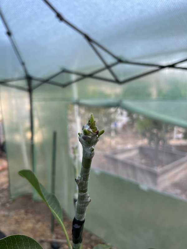 699B2B0C-89FD-4584-AA50-1E92AFBBBDE5