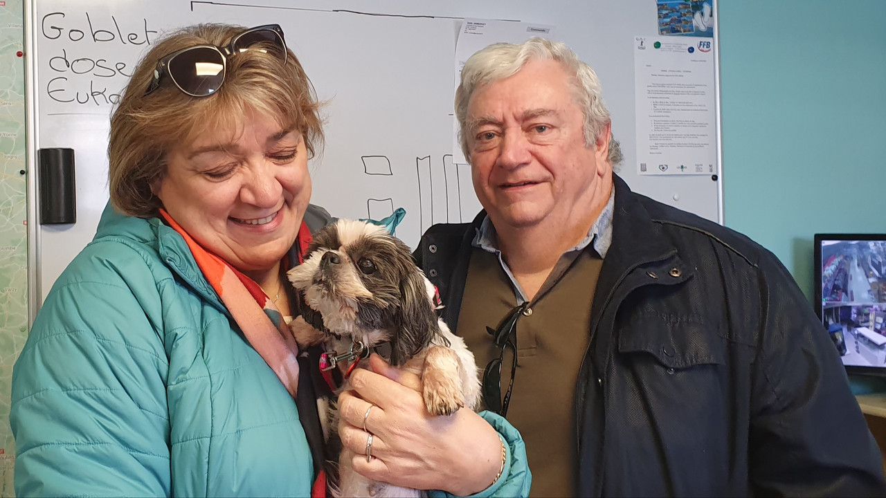 [Image: 20230320-162303.jpg]