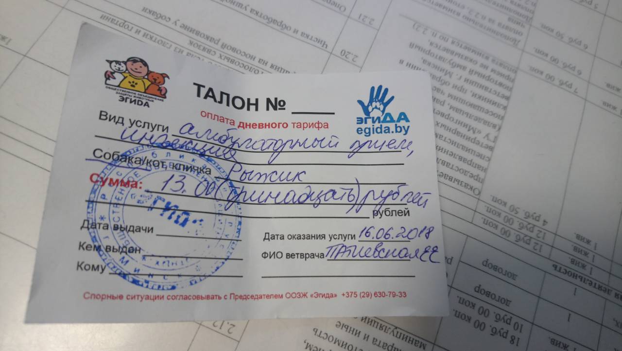 рыжикталон