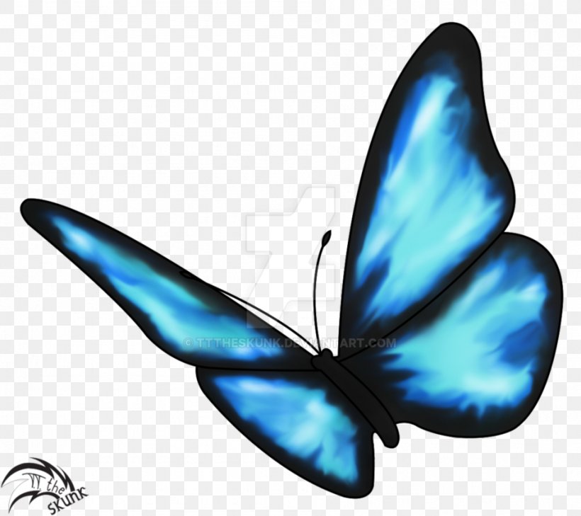 life-is-strange-butterfly-effect-drawing-insect-png-favpng-uay2q-Rt-RBTEgaedri-R3-SQDNAn.jpg