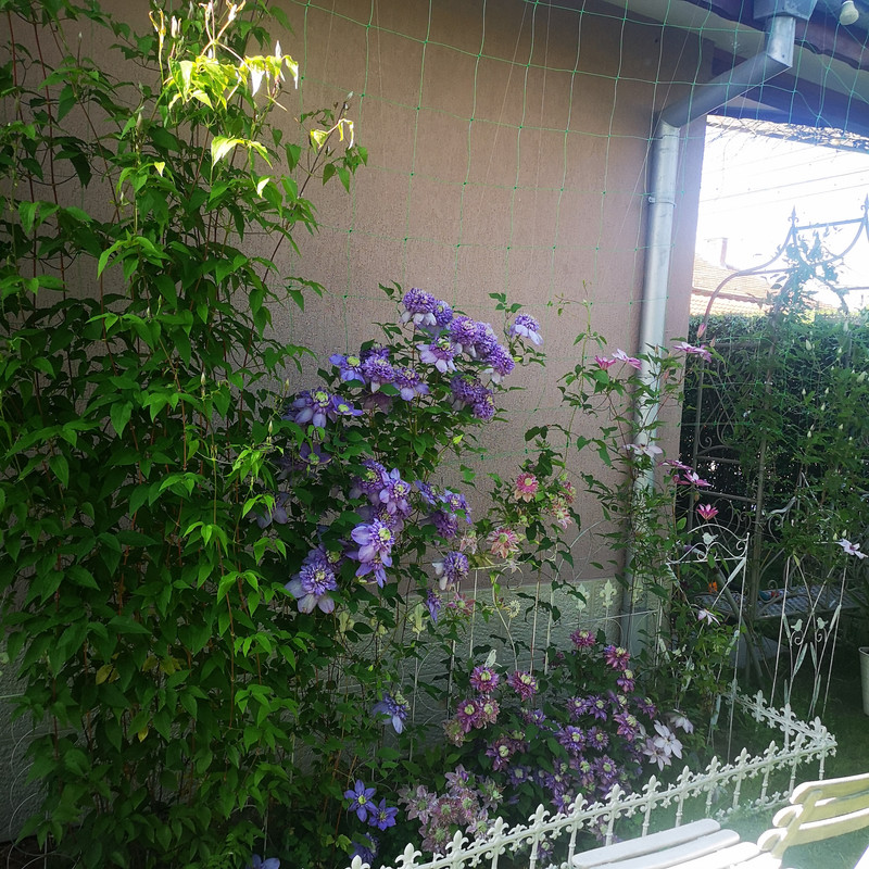 IMG_20200509_174108