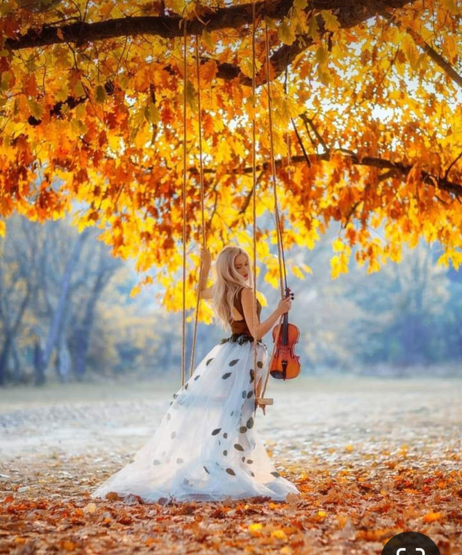 Screenshot_20231130_234240_Pinterest