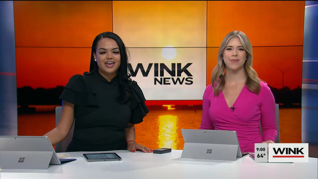 02.18 - 14.00.00 - WINK News at 9 00AM  ᴺᵉʷ. Morning news.ts_snapshot_00.06.59.393