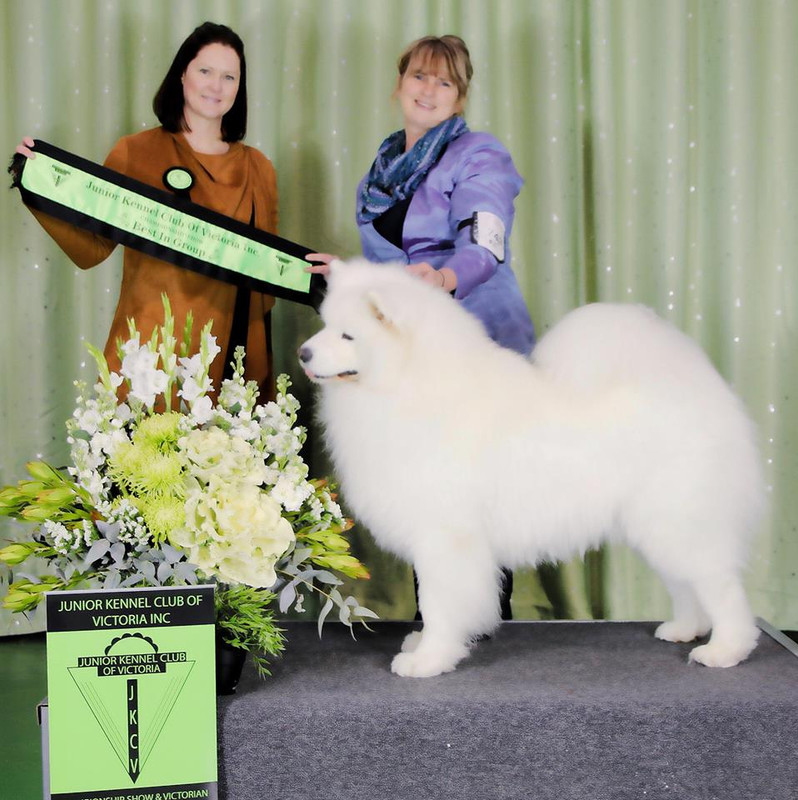 36864591_10211914660282198_2729508298507157504_n (1)