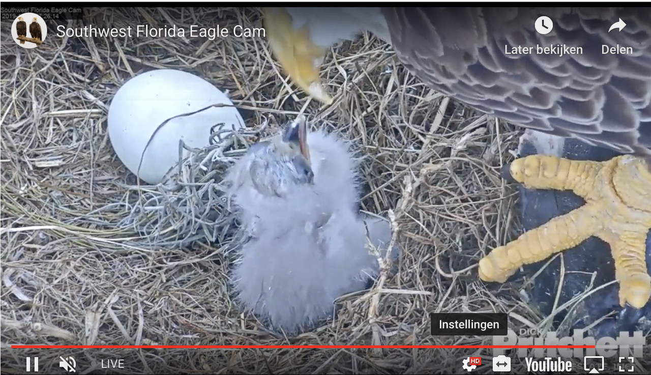 Zuid-West Florida 20191221-01 om 14.18.00