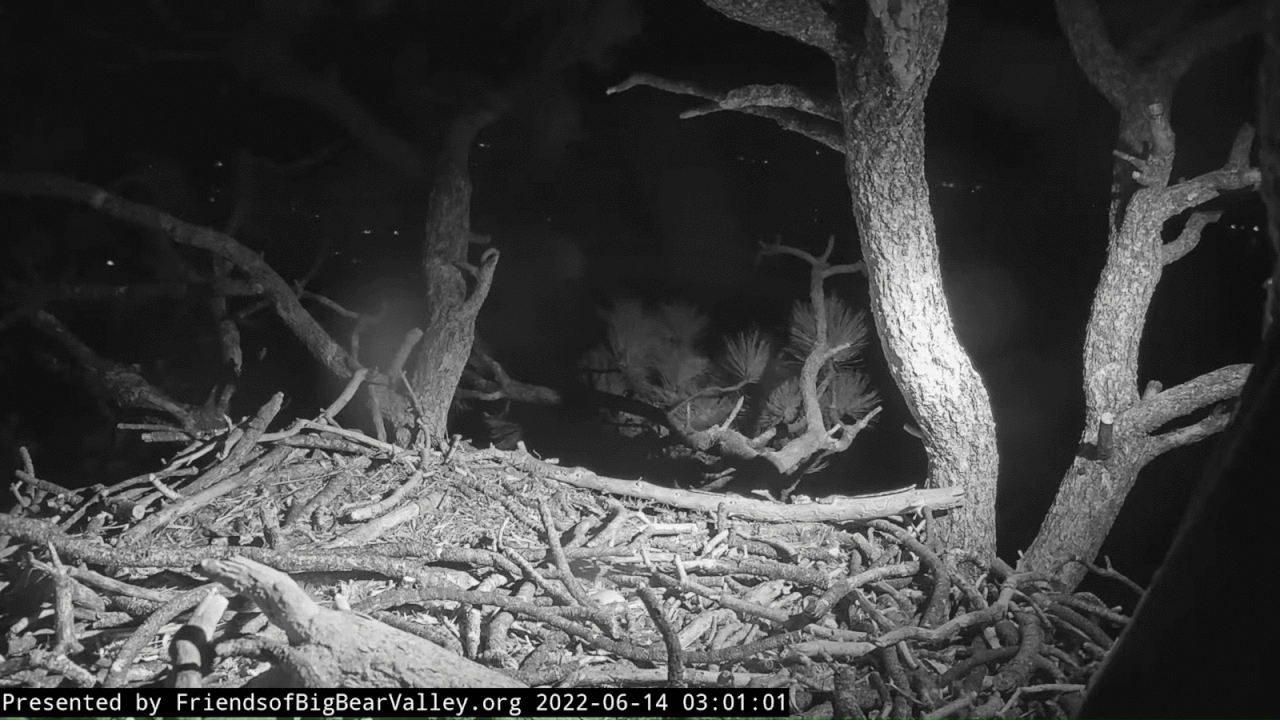 Webp.net-gifmaker (2)