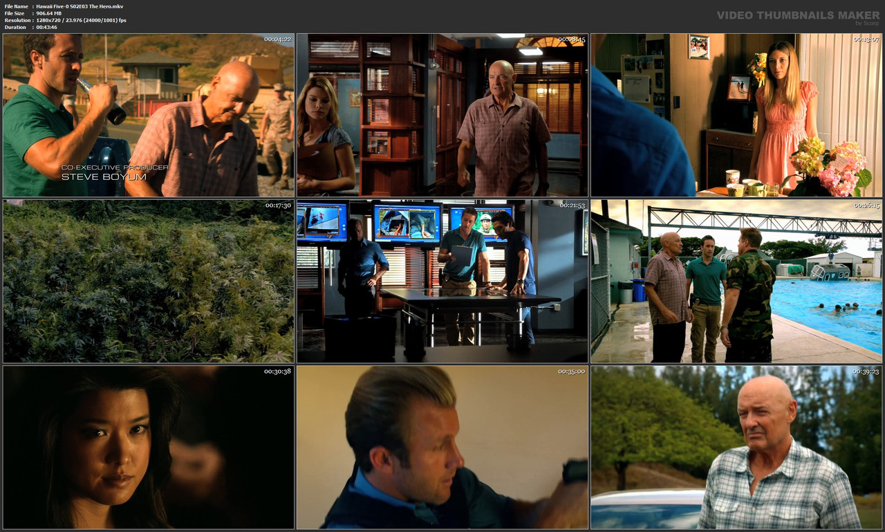 Hawaii Five-0 S02E03 The Hero.mkv